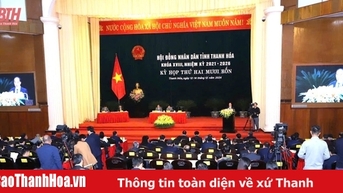 많은 심오한 의견, Thanh Hoa 지방이 직면한 문제를 강조