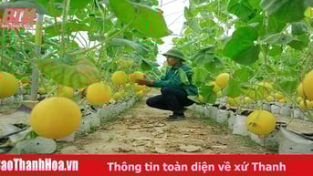 Phát triển nông nghiệp chủ lực ứng dụng công nghệ cao, quy mô lớn