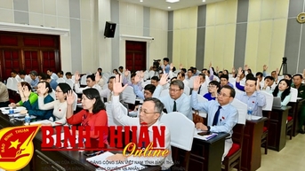 Thông qua chủ trương chuyển hơn 14 ha rừng trồng làm đường giao thông