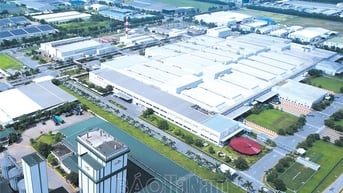 Điểm sáng trong bức tranh kinh tế