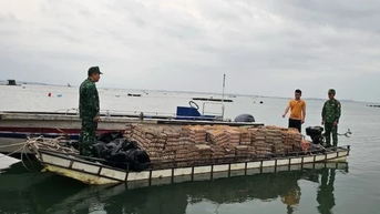 Tăng cường xử lý vi phạm trong kinh doanh gia súc, gia cầm