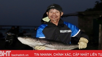 ឆ្លងកាត់ភាពត្រជាក់នៅសមុទ្រ អ្នកនេសាទ Ha Tinh រកចំណូលបានរាប់លានរៀងរាល់យប់