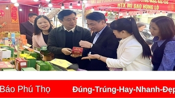 Quảng bá, giới thiệu, kết nối tiêu thụ sản phẩm Hợp tác xã dịp Tết Nguyên đán