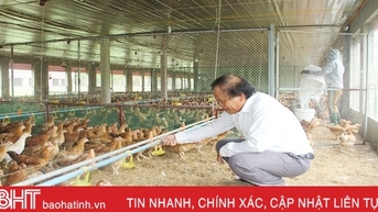 Lộc Hà đa dạng cách thức sản xuất trong xây dựng nông thôn mới