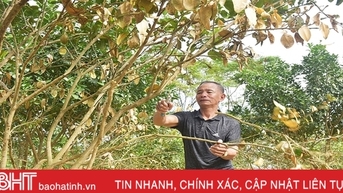 Huong Khe សង្គ្រោះបន្ទាន់ និងបន្សាបជាតិពុលពីរុក្ខជាតិពិសេសក្រោយទឹកជំនន់
