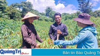កិច្ចខិតខំប្រឹងប្រែងរបស់ Tan Thanh ដើម្បីបំពេញលក្ខណៈវិនិច្ឆ័យជនបទថ្មីត្រូវបានកាត់បន្ថយ។