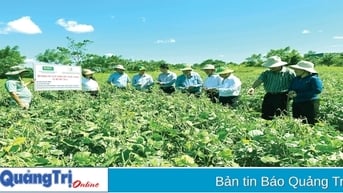 Xây dựng các mô hình sinh kế thích ứng với biến đổi khí hậu