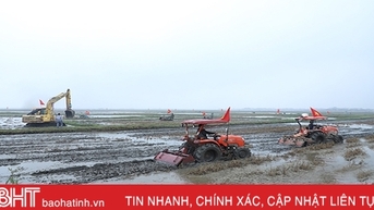 ជាង 2.4 ពាន់លានដុងបានបណ្តាក់ទុនក្នុងគម្រោងដាំស្រូវគុណភាពខ្ពស់ដំបូងគេនៅទីក្រុង Ha Tinh