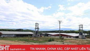 Ngành chuyên môn khuyến cáo gì sau 2 “tai nạn” tại các trang trại nuôi gà ở Hà Tĩnh?