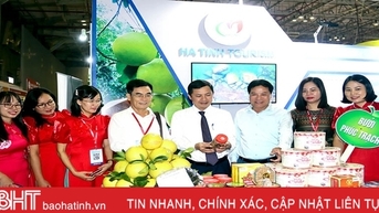 Ha Tinh ចូលរួមពិព័រណ៍ទេសចរណ៍អន្តរជាតិទីក្រុងហូជីមិញលើកទី១៧