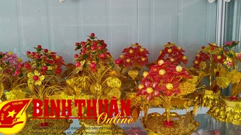 Hoa trang trí tết tất bật vào “mùa”