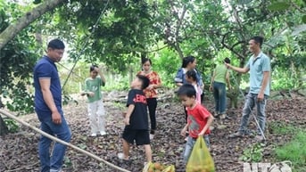Lâm Sơn vào mùa du lịch vườn trái cây