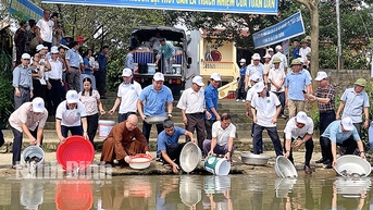 Chương trình thả cá giống tái tạo nguồn lợi thủy sản năm 2024