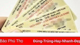 Không thực hiện việc cấp đổi giấy phép lái xe khi chưa thực sự cần thiết