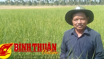 Chỉ thị của Đảng cất cánh một vùng lúa. Bài 2