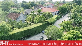 Hà Tĩnh phân bổ hơn 161,5 tỷ đồng thực hiện chính sách nông thôn mới