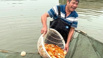 Làng sản xuất "phương tiện" cho ông Công, ông Táo hối hả thu hoạch