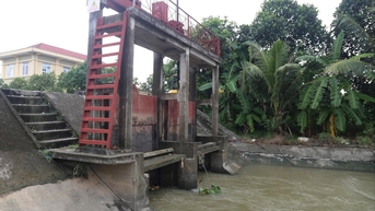 Khai thác công trình thủy lợi, Hải Dương ứng phó với bão số 3