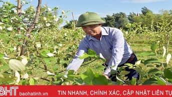 Người cựu chiến binh và nỗ lực cải tạo bãi bồi ven sông La