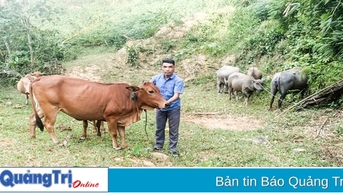 Cán bộ hội nhiều năm liền sản xuất giỏi