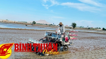 Trình diễn cơ giới hóa trong sản xuất lúa