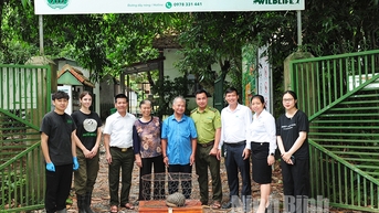 Một hộ dân của thành phố Ninh Bình giao nộp cá thể tê tê cho Vườn Quốc gia Cúc Phương