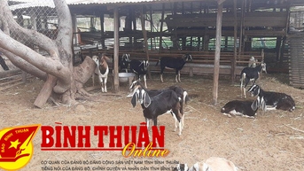 ការដាក់ពាក្យ និងការផ្ទេរការជឿនលឿនផ្នែកវិទ្យាសាស្ត្រ
