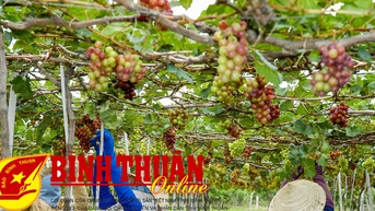 Gỡ “nút thắt” phát triển du lịch nông nghiệp, nông thôn