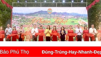Phiên chợ quảng bá, xúc tiến thương mại, kết nối cung cầu sản phẩm OCOP và nông sản an toàn