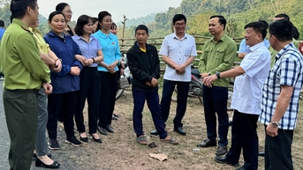 ត្រួតពិនិត្យ​ការ​បែង​ចែក​ដី​និង​ព្រៃ​ឈើ​នៅ​ស្រុក​មឿង​ញ៉ែ