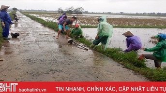 Người dân Can Lộc, Hồng Lĩnh ra quân diệt chuột