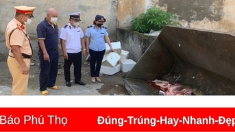 Phát hiện, xử lý 4 chủ phương tiện vận chuyển nội tạng thực phẩm không đảm bảo an toàn vệ sinh thực phẩm