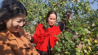 ការ​បង្កើន​តម្លៃ​ផលិត​កម្ម​កសិកម្ម​ក្នុង​រដូវ​រងា