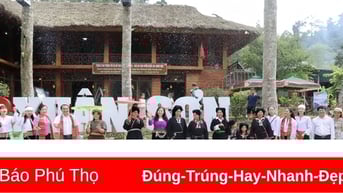 Đón hơn 13.800 lượt khách du lịch trong ngày đầu năm mới 2025
