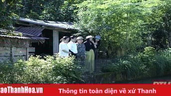 Đánh giá hiệu quả dự án Xây dựng quy trình chăn nuôi vịt bầu bản địa theo hướng sinh sản gắn với chuỗi liên kết