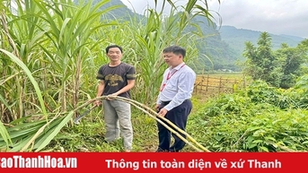 Hỗ trợ khách hàng bị thiệt hại do bão lũ khôi phục sản xuất, kinh doanh
