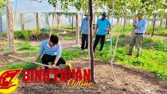 Thực hiện nhiều mô hình khuyến nông