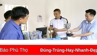 “Cháy” hàng Gạo nếp gà gáy Mỹ Lung
