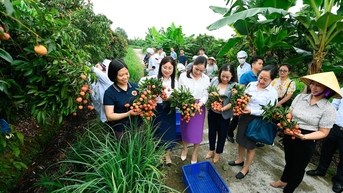 Thanh Hà khắc phục khó khăn, phát triển ổn định