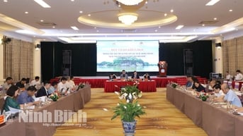 Chuyên đề Giá trị lịch sử văn hóa tư liệu của hệ thống văn bia tại Di tích Quốc gia đặc biệt núi Non Nước