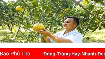 Đồng hành với thanh niên dân tộc thiểu số khởi nghiệp