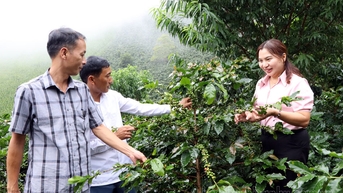Phát triển nông nghiệp gắn với công nghiệp chế biến