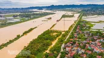Cảnh báo lũ trên các sông tại Ninh Bình lên mức báo động 3