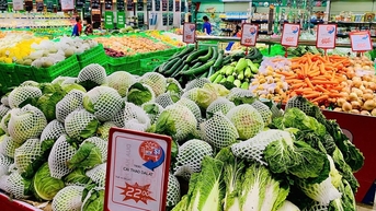 Siêu thị tăng nhập rau, củ từ miền Nam ra Bắc