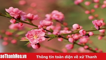 Thư Chúc Mừng Năm Mới