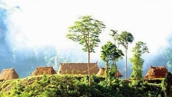 Đề xuất chính sách hỗ trợ về đất đai đối với đồng bào dân tộc thiểu số