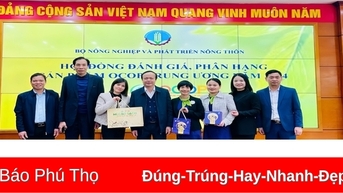 Phú Thọ có hai sản phẩm OCOP đạt chứng nhận 5 sao cấp quốc gia