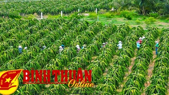 Bình Thuận và những dấu ấn đáng nhớ năm 2023