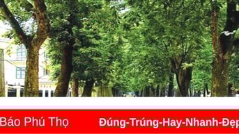 Phố cũ
