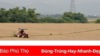 Phát triển nông nghiệp góp phần giảm nghèo bền vững ở Tề Lễ